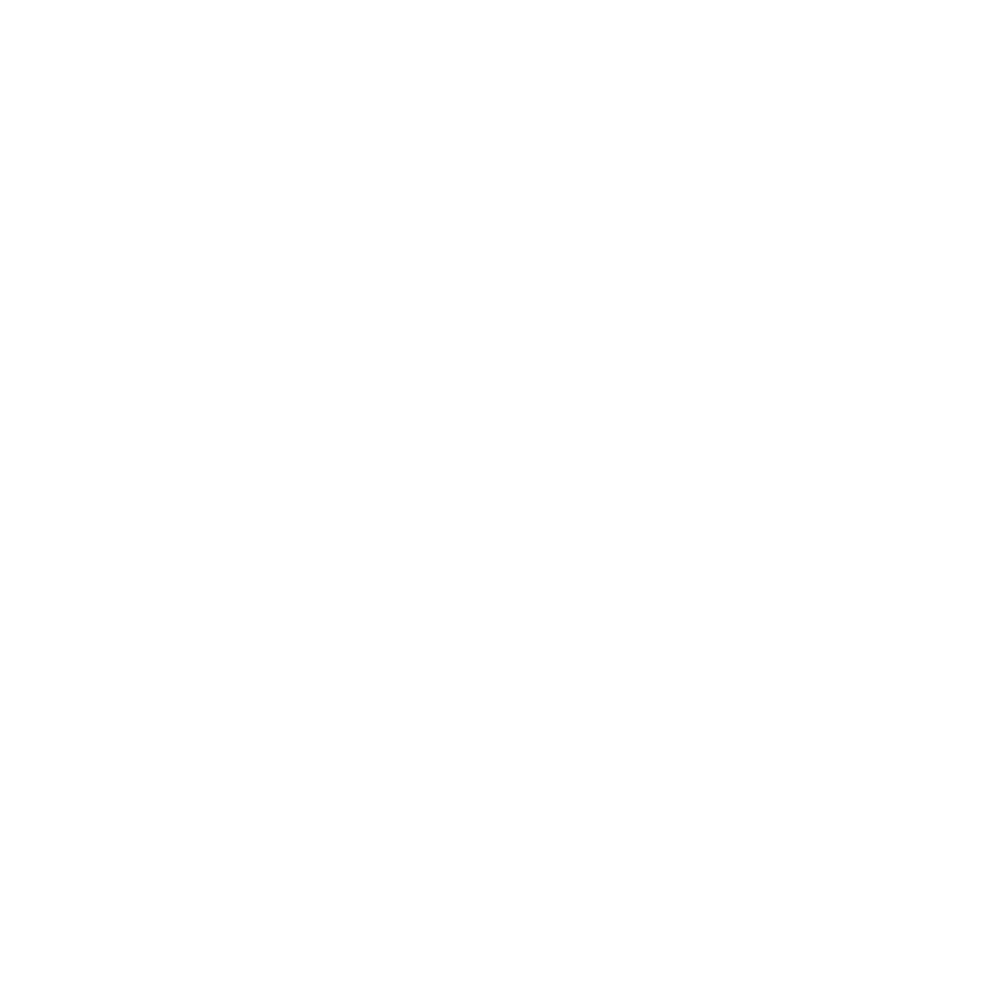 Logo-Whitewashed-png